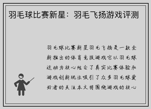 羽毛球比赛新星：羽毛飞扬游戏评测